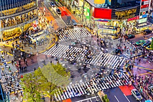 Shibuya Crossing in Tokyo