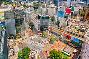 Shibuya Crossing from top view