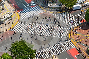 Shibuya Crossing from top view