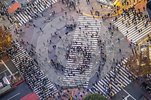 Shibuya Crossing from top view at night in Tokyo