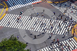 Shibuya Crossing from top view photo