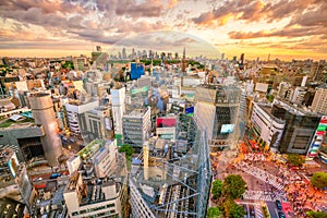 Shibuya Crossing from top view in Tokyo