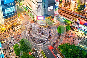 Shibuya Crossing from top view in Tokyo