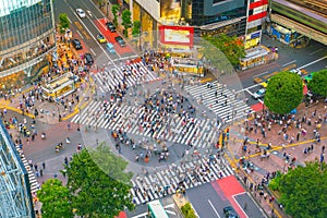 Shibuya Crossing from top view in Tokyo photo