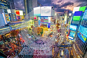 Shibuya Crossing from top view at twilight in Tokyo