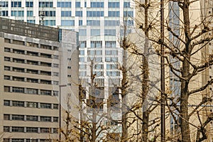 Shibuya District Architecture, Tokyo, Japan