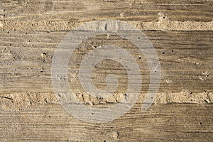Shield with a large number of parallel wooden logs texture. Wood blinds