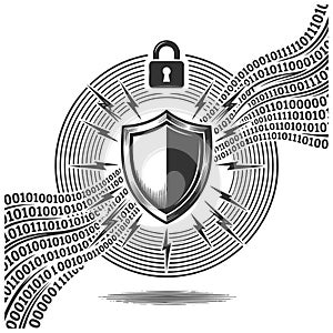 Shield Protecting Encrypted Binary Data