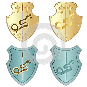 Shield and sword with a snake