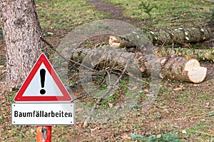 Shield tree felling work