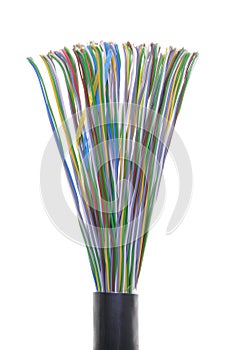 Shielded cable