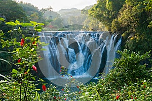 Shifen Waterfall with Luscious Plants and Trees as Background