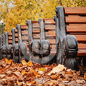 Shifted benches in park, leaf fall, autumn mood, sadness concept