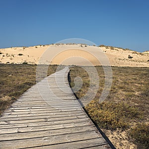 Shifting Sand Dunes Natural Park in Corrubedo, Spain photo