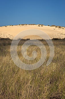 Shifting Sand Dunes Natural Park in Corrubedo, Galicia photo