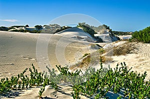 Shifting white sand dunes in Western Australia