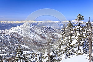 Shiga Kogen in winter