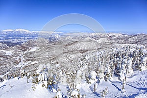 Shiga Kogen in winter