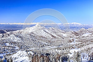 Shiga Kogen in winter