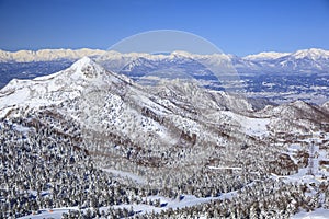 Shiga Kogen in winter
