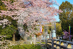 Shiga Prefecture Gokoku Shinto shrine enshrined the spirits of the dead from Boshin War, Satsuma