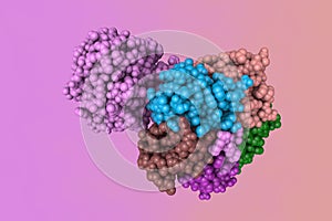 Shiga toxin produced by bacteria Shigella dysenteriae. Space-filling molecular model. Rendering with differently colored photo
