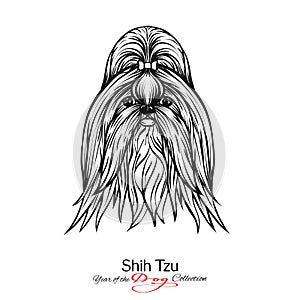 Shih Tzu. Black and white graphic drawing of a dog.