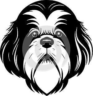 Shih tzu - black and white isolated icon - vector illustration