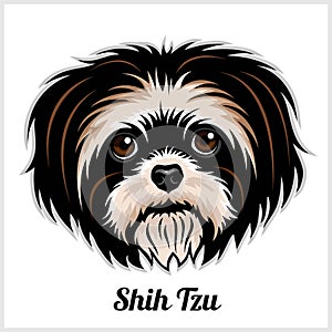 Shih Tzu Dog head showing tongue in vector design