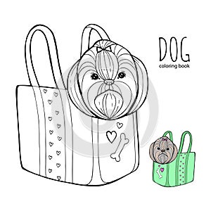 Shih Tzu dog line art, tribal. Freehand vector illustration. Print for POD sites and coloring books.