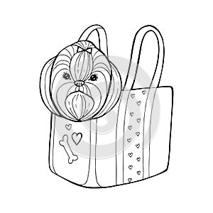 Shih Tzu dog line art, tribal. Freehand vector illustration. Print for POD sites and coloring books.