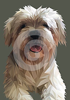 Shih Tzu dog . Maltese illustration. Low Poly animal art