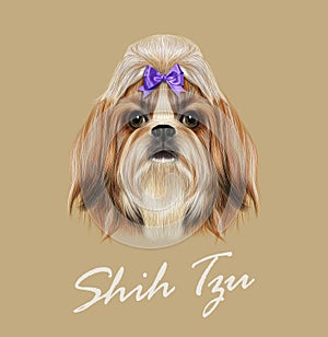 Shih Tzu Dog Portrait. Vector Illustration