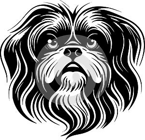 Shih tzu - minimalist and flat logo - vector illustration