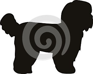 Shih Tzu silhouette black