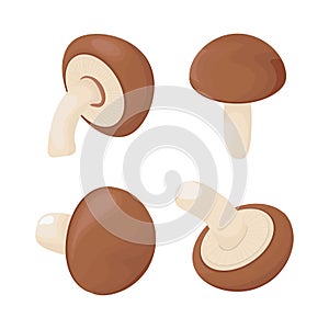 Shiitake. Asian mushroom. Natural food.