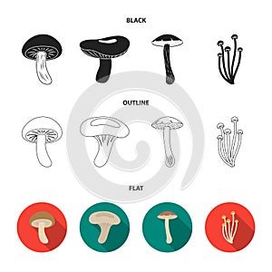 Shiitake, brown cap boletus, enokitake, milk. set collection icons in black,flat,outline style vector symbol stock