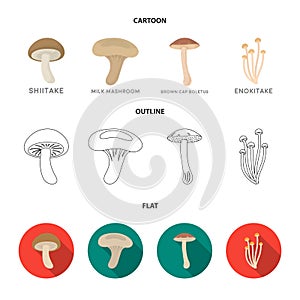 Shiitake, brown cap boletus, enokitake, milk. set collection icons in cartoon,outline,flat style vector symbol stock