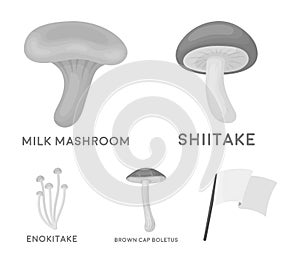 Shiitake, brown cap boletus, enokitake, milk. set collection icons in monochrome style vector symbol stock illustration