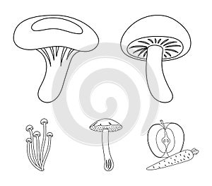 Shiitake, brown cap boletus, enokitake, milk. set collection icons in outline style vector symbol stock illustration web