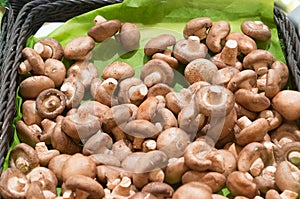 Shiitake, Chinese mushrooms in basket on sale in supermarket