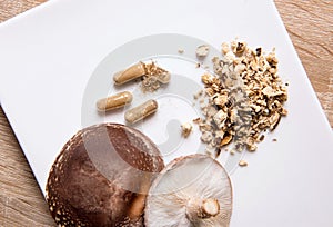 Shiitake Lentinus edoides mushroom supplement capsules with fresh Shiitake mushrooms and powdered on white minimal background.