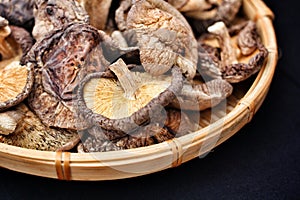 Shiitake mushroom