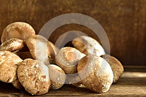 shiitake mushroom Lentinula Edodes on a wooden table
