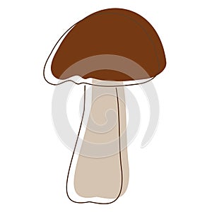 Shiitake mushroom lineart. Edible Organic mushrooms. Truffle brown cap. Forest wild mushrooms types