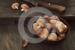 Shiitake mushrooms photo