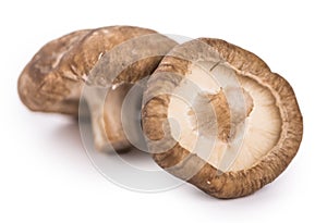 Shiitake mushrooms isolated on white
