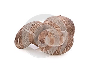 Shiitake Mushrooms isolated on white background