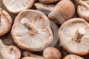 Shiitake mushrooms. Macro. Food background.