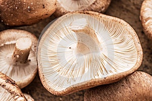 Shiitake mushrooms. Macro. Food background.